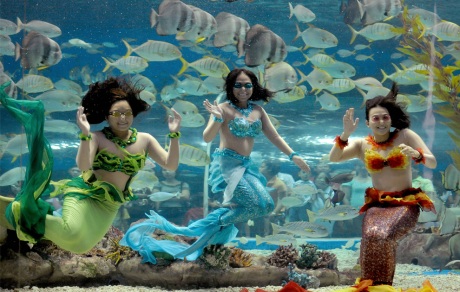 mermaiddancers
